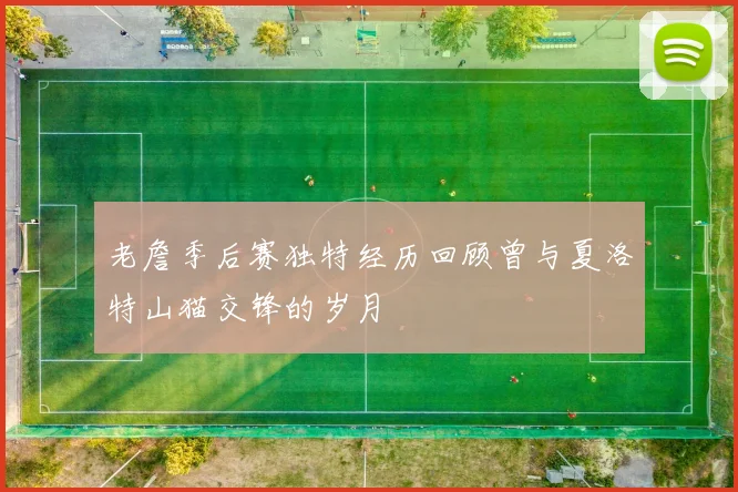 老詹季后赛独特经历回顾曾与夏洛特山猫交锋的岁月